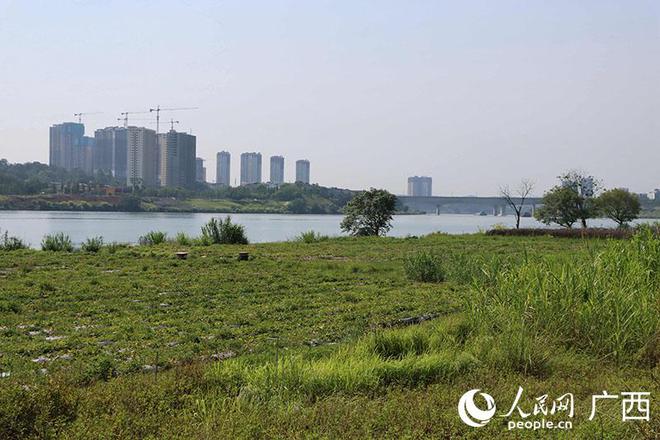 开元体育南宁：依法推进湿地生态保护 建设
