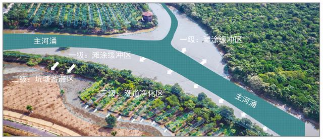 开元体育·(中国)官方网站「行业观察」国土空间规划背景下广州城市湿地生态修复策略(图10)