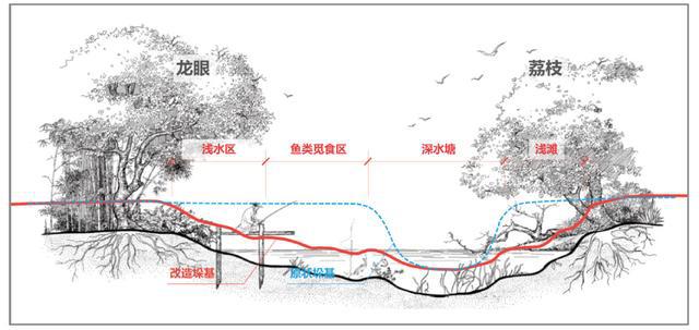 开元体育·(中国)官方网站「行业观察」国土空间规划背景下广州城市湿地生态修复策略(图11)