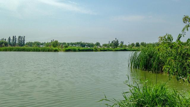 开元体育内蒙古有个湿地公园距离市区近6个