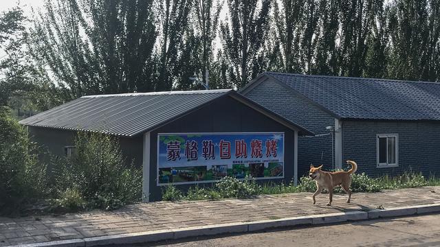 开元体育内蒙古有个湿地公园距离市区近6个旅游项目可选适合五月打卡(图10)