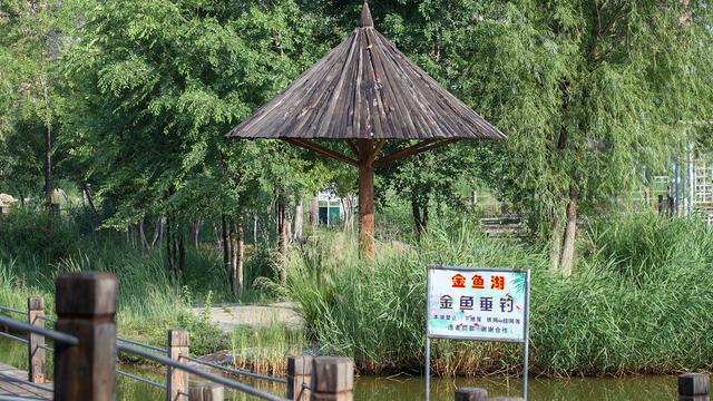 开元体育内蒙古有个湿地公园距离市区近6个旅游项目可选适合五月打卡(图8)